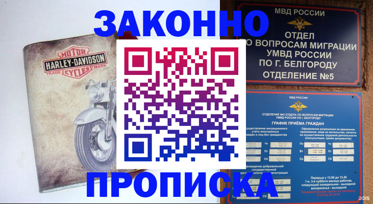 прописка для школы в Камешково